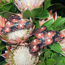 Load image into Gallery viewer, Protea Mini Bucha Claw Clip