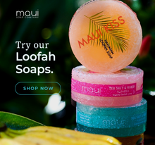 Load image into Gallery viewer, Coconut Sea Salt & Kukui Exfoliating Loofah Soap 4.75oz