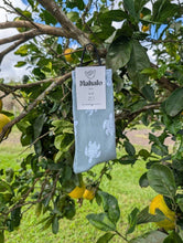 Load image into Gallery viewer, Sage Green Turtle socks