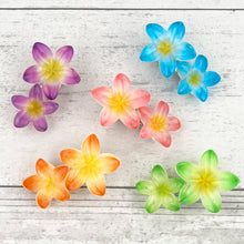 Load image into Gallery viewer, Plumeria Flower Hair Clip