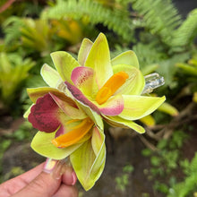 Load image into Gallery viewer, Cattleya Orchid Meadow Claw Clip
