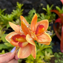 Load image into Gallery viewer, Cattleya Amber Orchid Claw Clip
