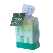 Load image into Gallery viewer, Surfrider Mini Soap Gift Set
