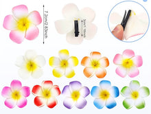 Load image into Gallery viewer, 2.75” Colorful Plumeria Foam Hair Clip
