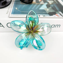 Load image into Gallery viewer, Hawaiian Hair Clips
