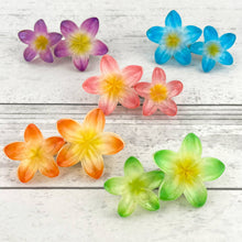 Load image into Gallery viewer, Plumeria Flower Hair Clip
