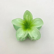Load image into Gallery viewer, Plumeria Colorful Claw Clip
