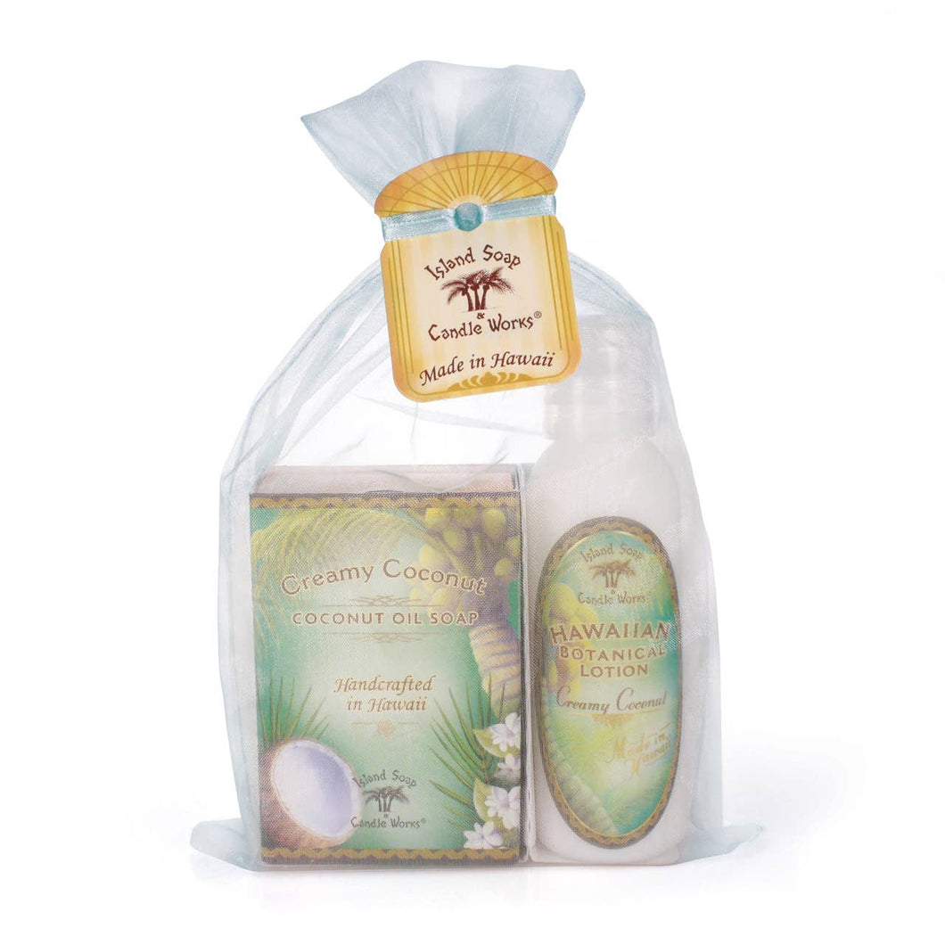 Creamy Coconut Organza Gift Bag