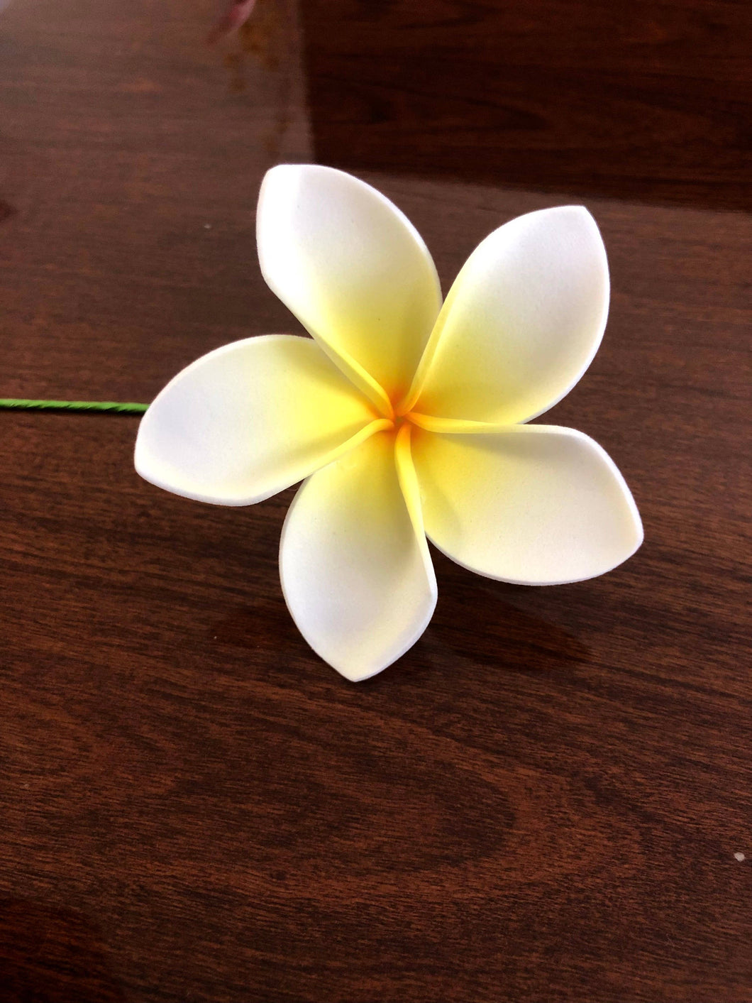 Plumeria Foam Flower with Stem White Yellow 3