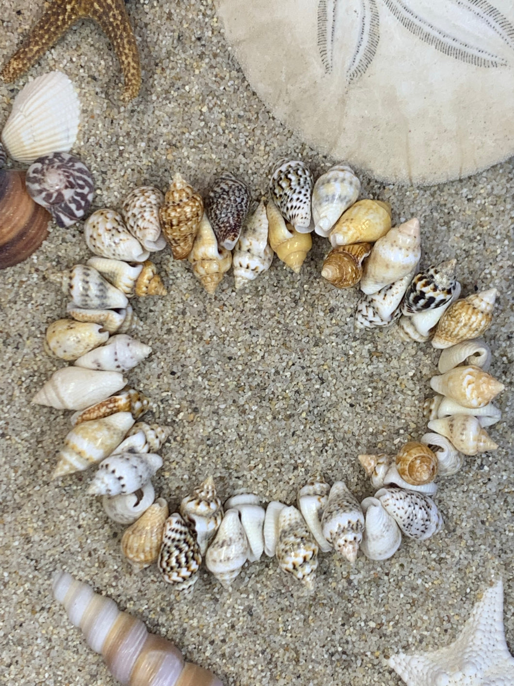 Mini Seashells